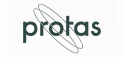 Head of Information Security, Protas